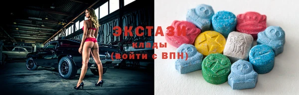 МДПВ Новозыбков