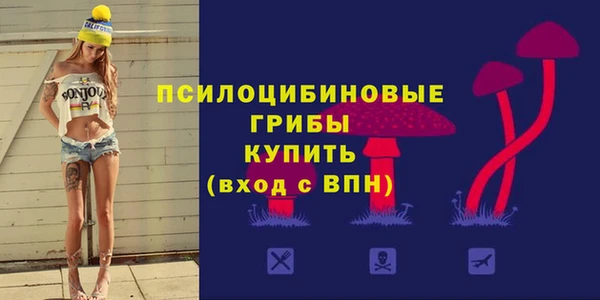МДПВ Новозыбков