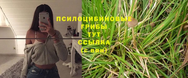 МДПВ Новозыбков