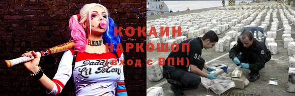 гидропоника Новокубанск