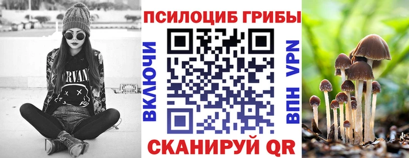 Псилоцибиновые грибы GOLDEN TEACHER  Фокино 