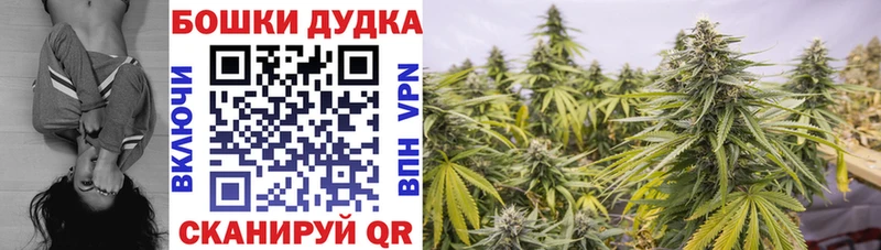 МЕГА онион  Фокино  МАРИХУАНА индика 